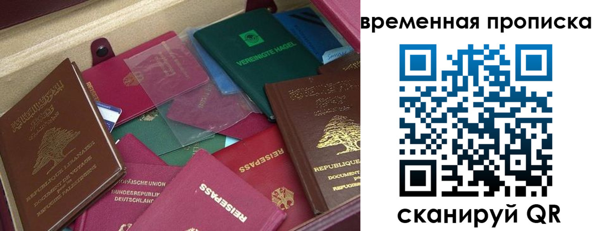 прописка в Снежногорске